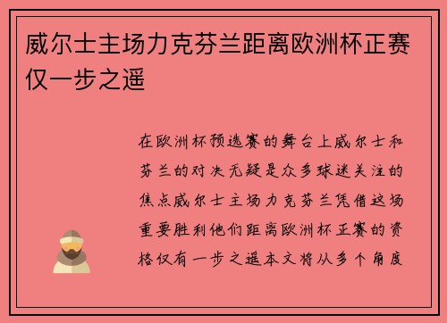 威尔士主场力克芬兰距离欧洲杯正赛仅一步之遥