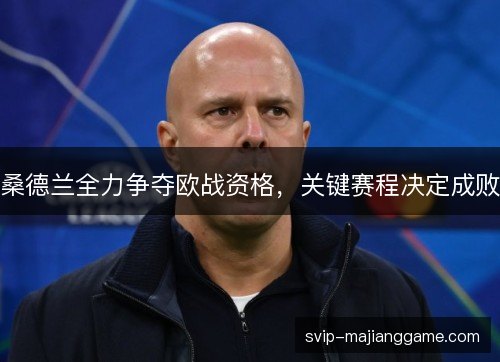 桑德兰全力争夺欧战资格，关键赛程决定成败