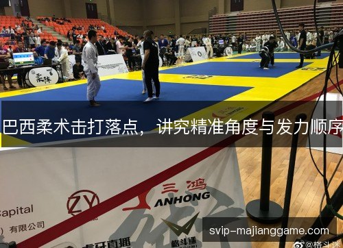 巴西柔术击打落点，讲究精准角度与发力顺序